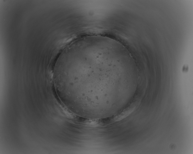 X0000094460624200711211542