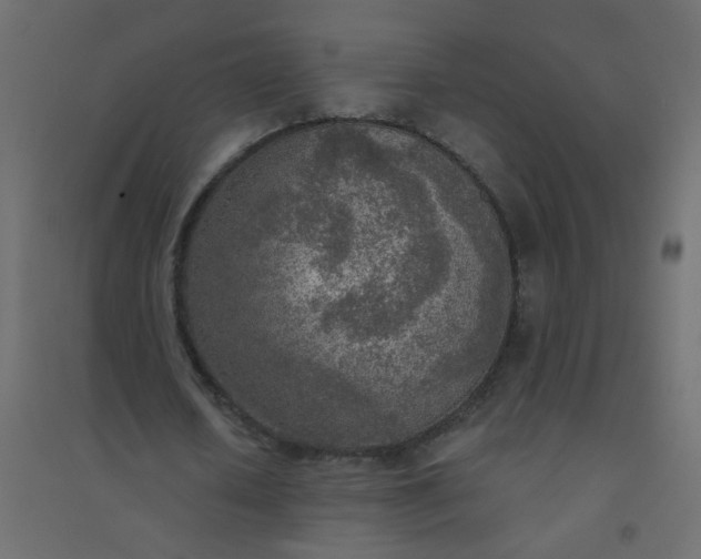 X0000094460626200711211541