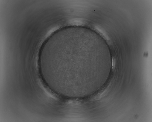 X0000094460627200711211541