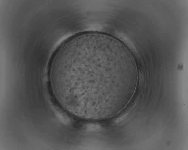 X0000094460628200711211541