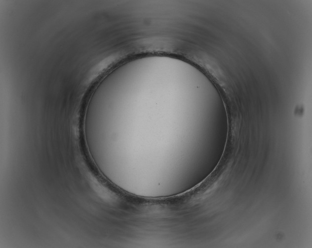 X0000094460629200711211541