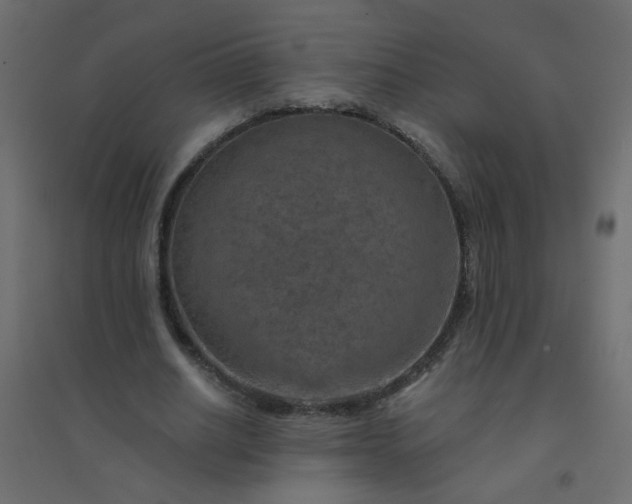 X0000094460630200711211541