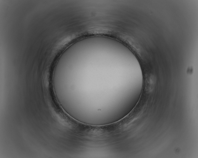 X0000094460631200711211541