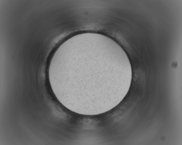 X0000094460632200711211541