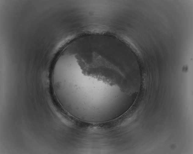 X0000094460634200711211541