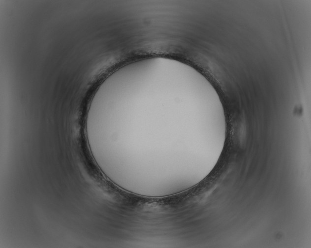 X0000094460635200711211541