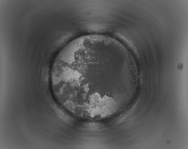 X0000094460637200711211541