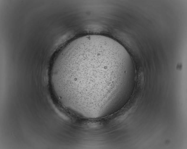 X0000094460638200711211541