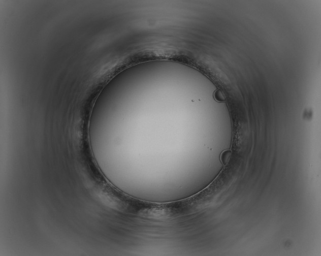 X0000094460639200711211541