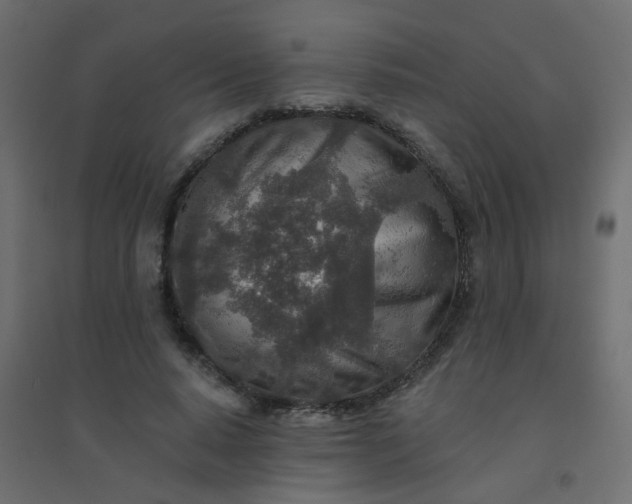 X0000094460640200711211541