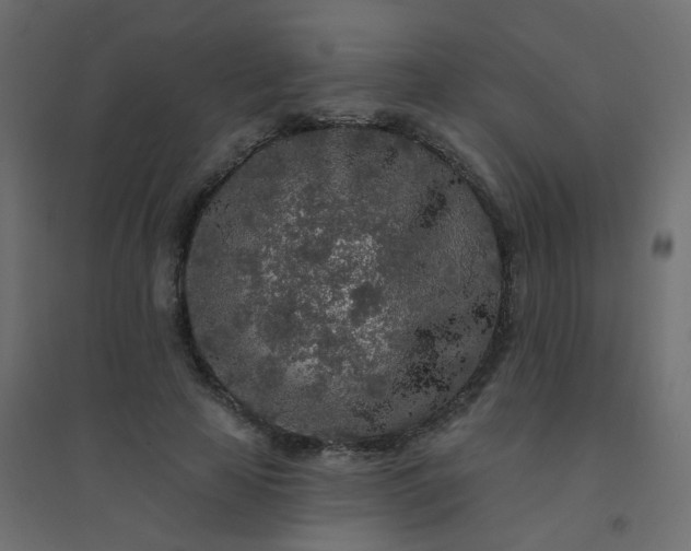 X0000094460641200711211541