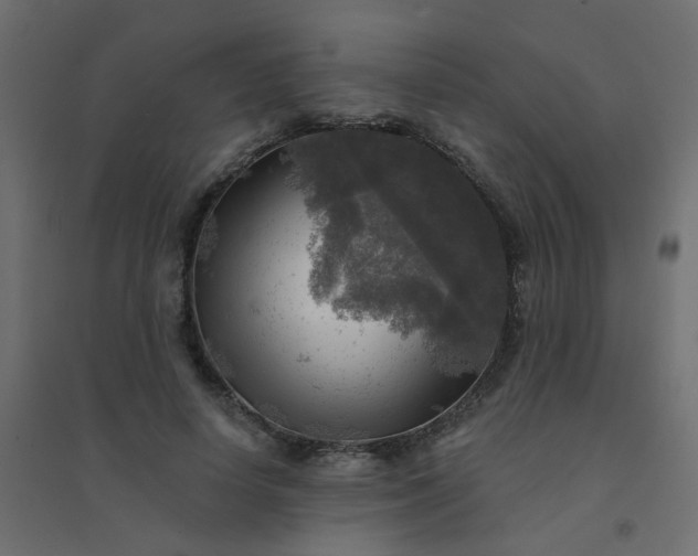 X0000094460642200711211541