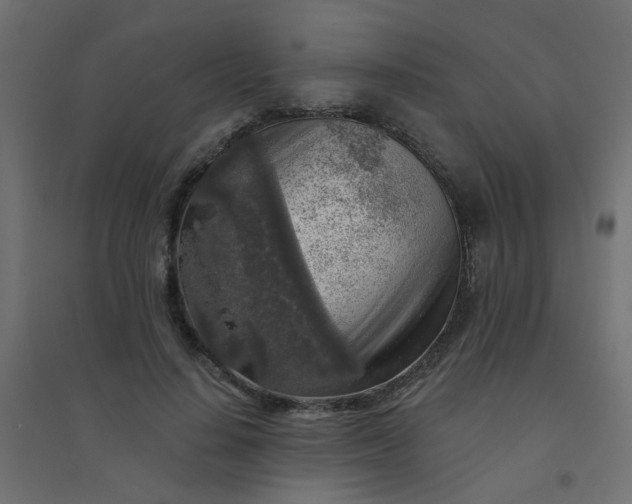 X0000094460644200711211541