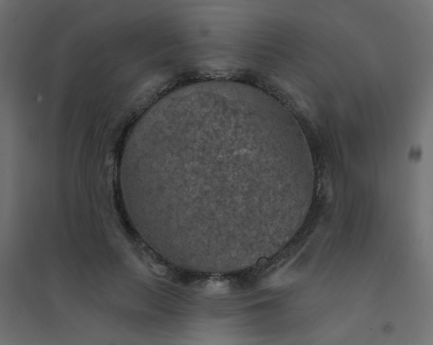 X0000094460647200711211541