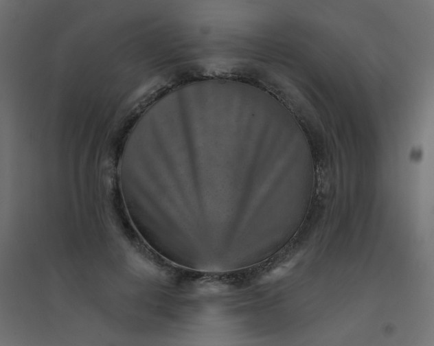 X0000094460648200711211541