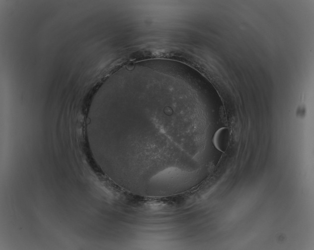 X0000094460650200711211541