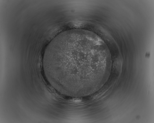 X0000094460651200711211541