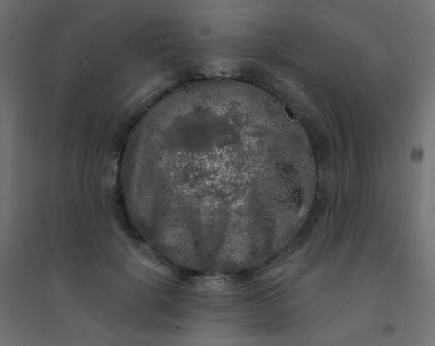 X0000094460652200711211541