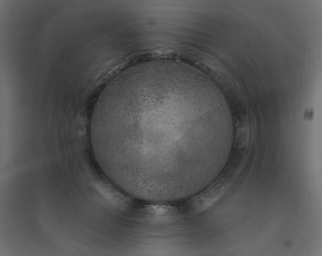 X0000094460654200711211541