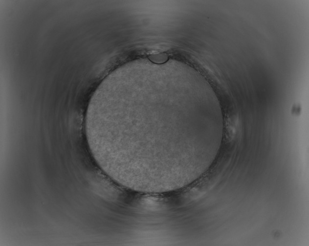 X0000094460657200711211542