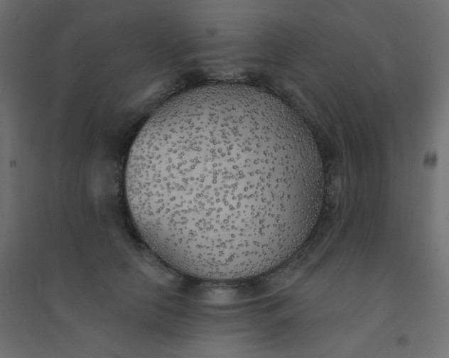 X0000094460658200711211542