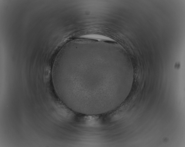 X0000094460660200711211542