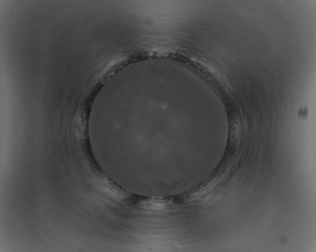 X0000094460661200711211542