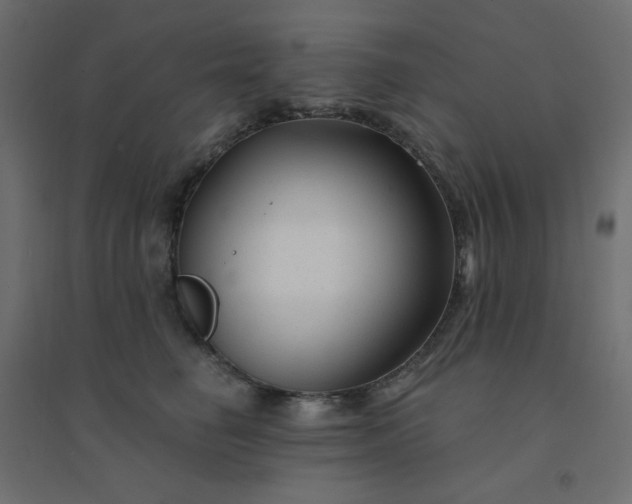 X0000094460662200711211542