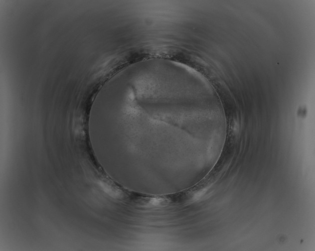 X0000094460663200711211542