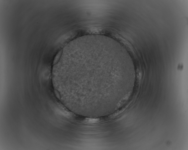 X0000094460665200711211542