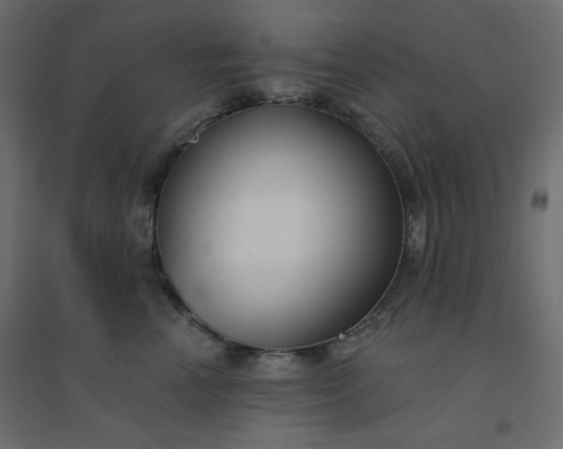 X0000094460666200711211542