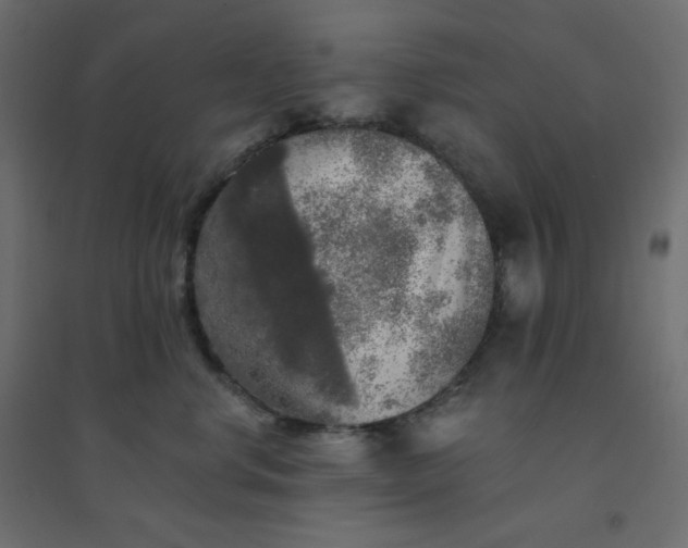 X0000094460668200711211542