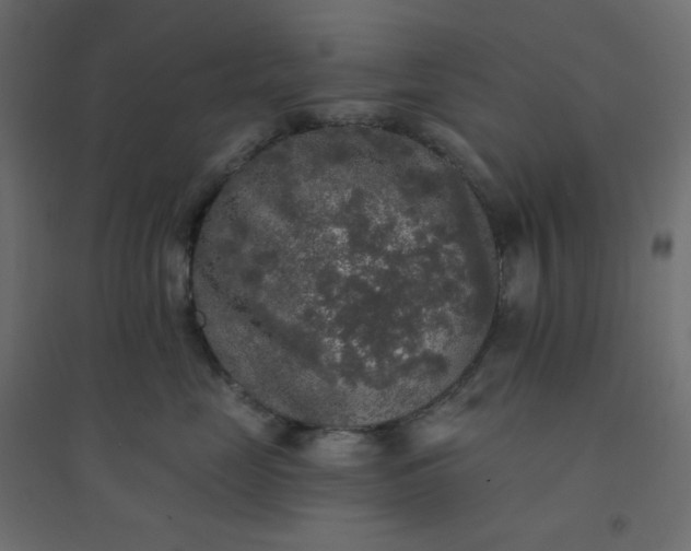 X0000094460669200711211542