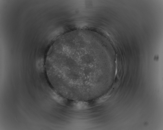 X0000094460670200711211542