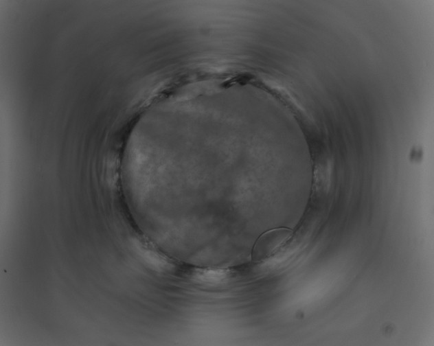 X0000094460671200711211542