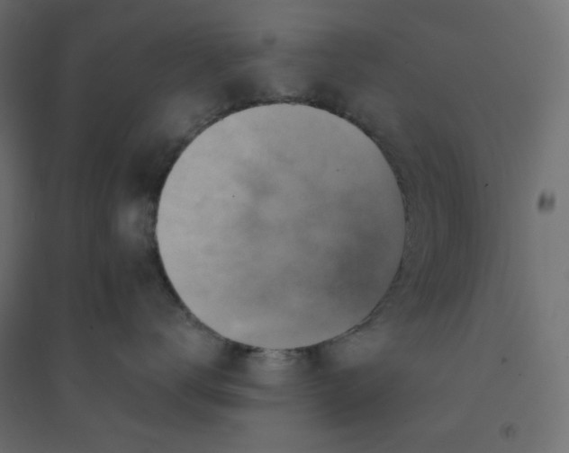 X0000094460672200711211542