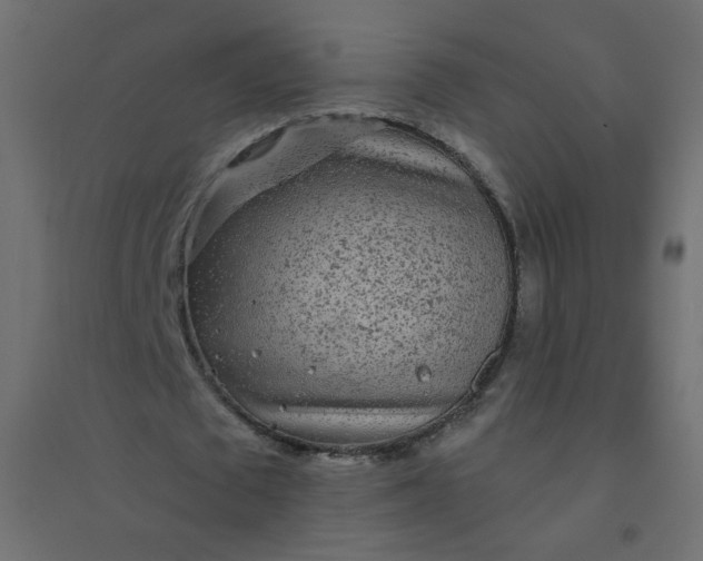 X0000094460673200711211541