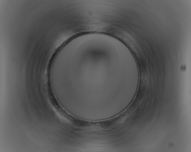 X0000094460674200711211541