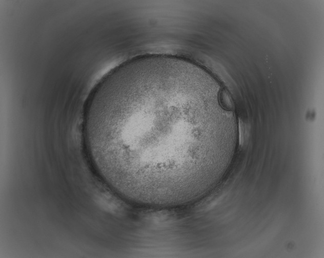 X0000094460675200711211541