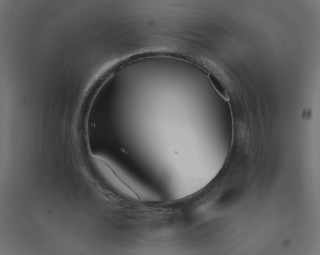 X0000094460676200711211541