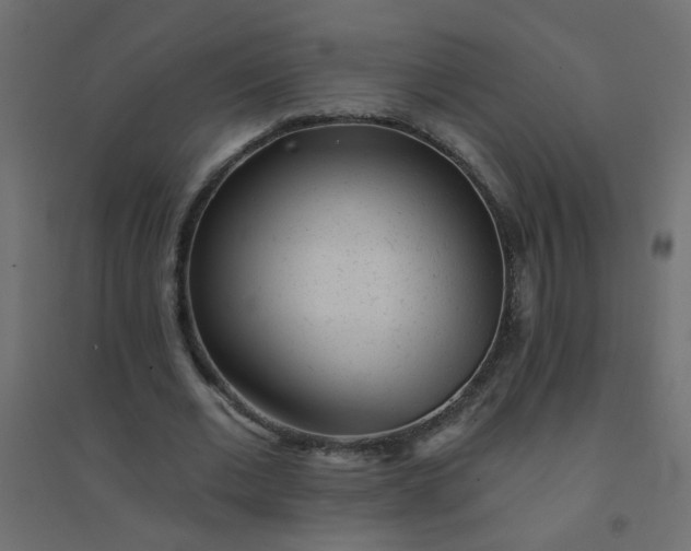 X0000094460677200711211541