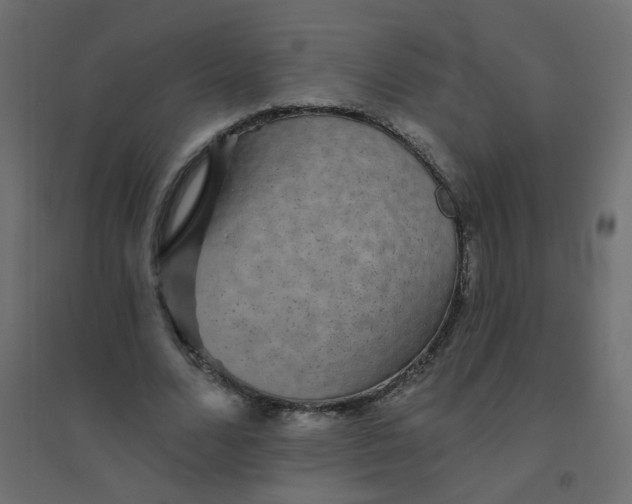 X0000094460680200711211541