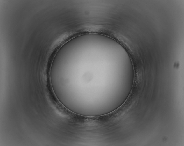 X0000094460682200711211541