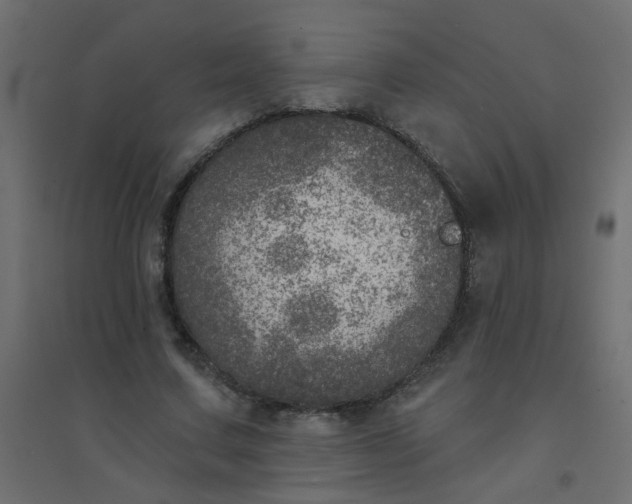 X0000094460683200711211541