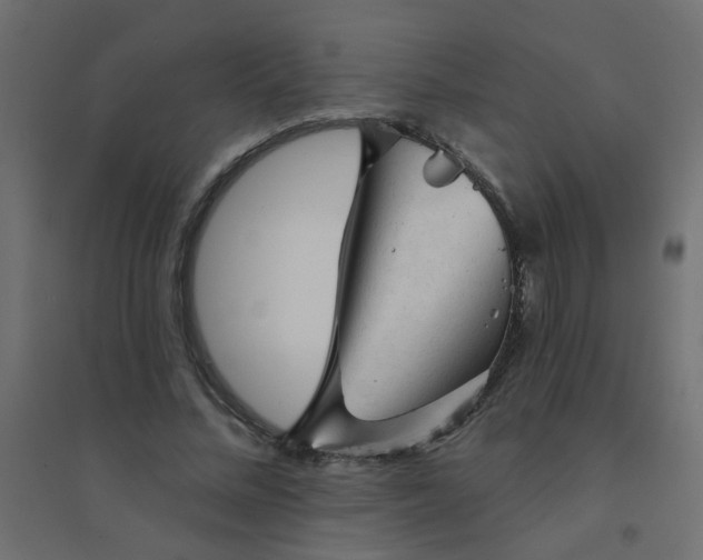 X0000094460684200711211541