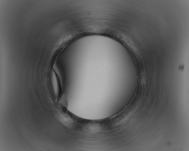 X0000094460685200711211541