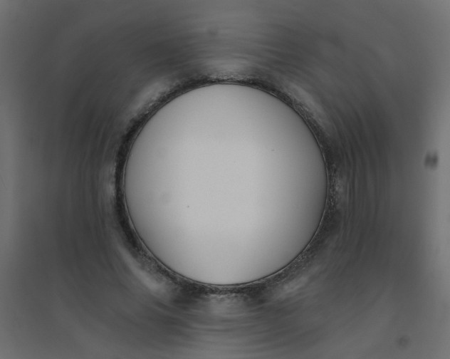 X0000094460686200711211541