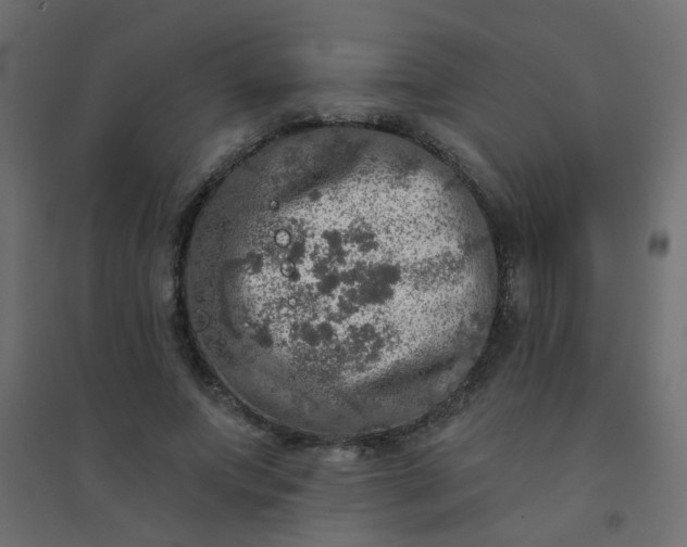 X0000094460687200711211541