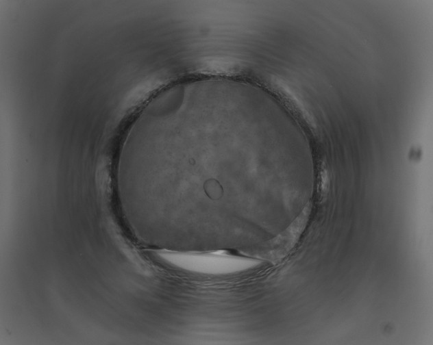 X0000094460688200711211541