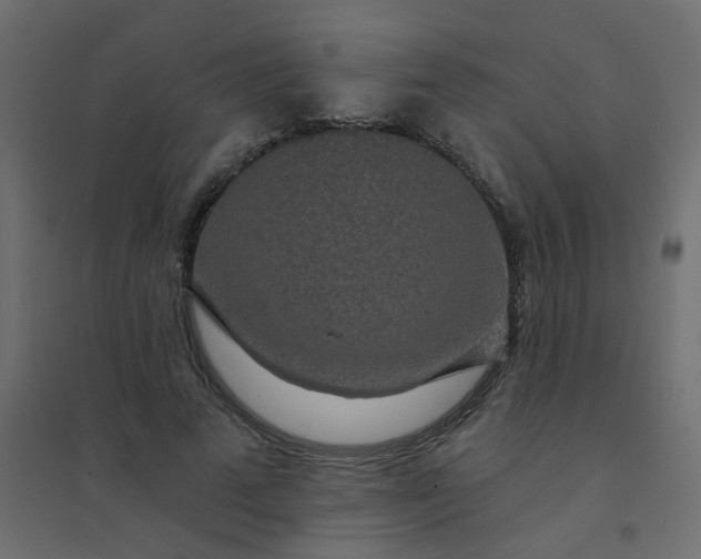 X0000094460689200711211541